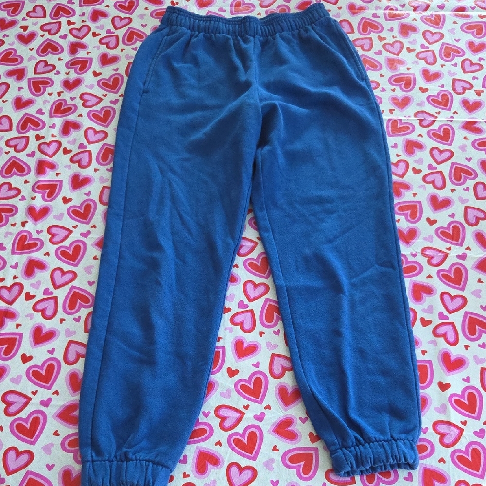 DSG Women's Blue Track Pants